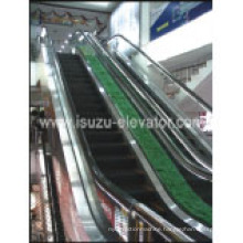 Escalator -3